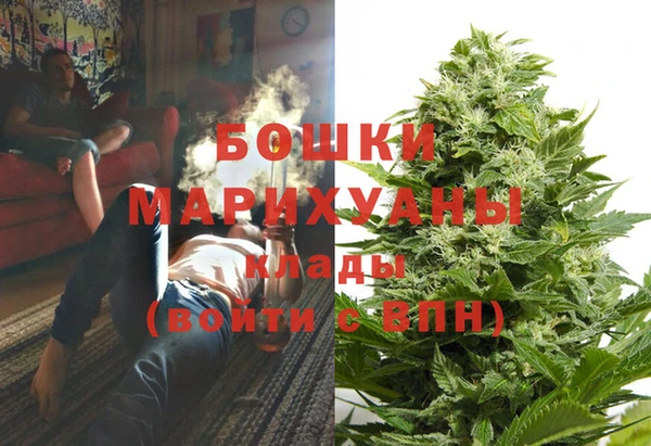 Альфа ПВП Няндома