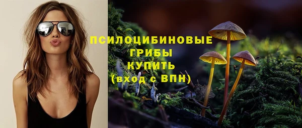 apvp Пересвет