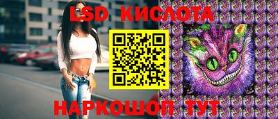 стаф Аргун