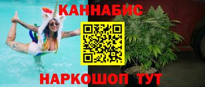 стаф Аргун