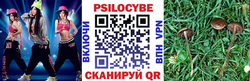 Галлюциногенные грибы мицелий Балахна