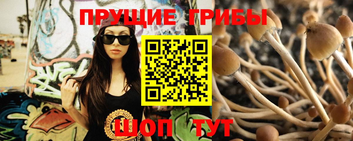 Псилоцибиновые грибы ЛСД  Вход с VPN  Балахна 