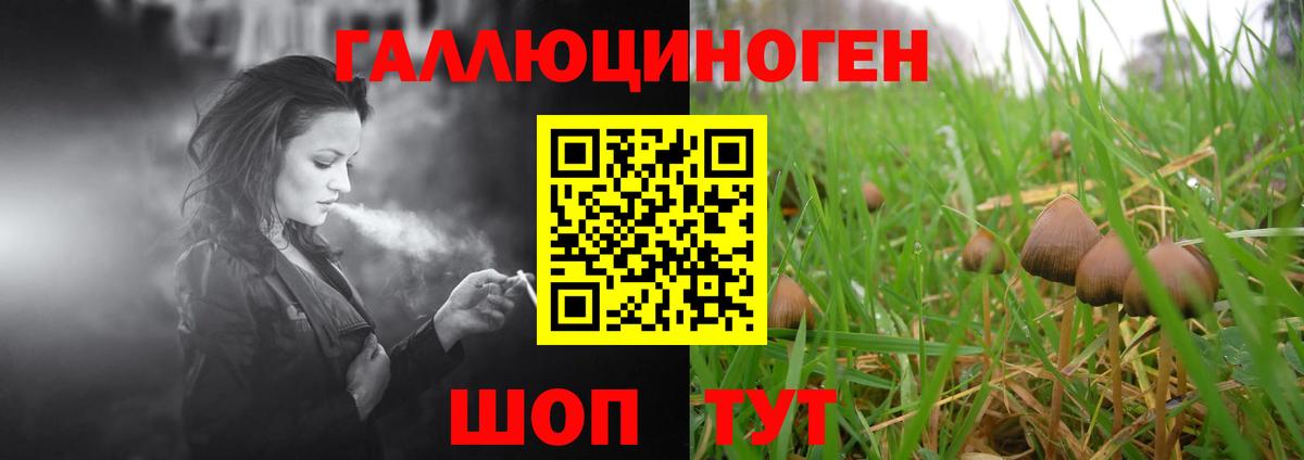 Псилоцибиновые грибы ЛСД Балахна